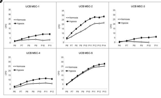 Fig. 1. Ex vivo expansion of  UCB- UCB-MSC cultured under hypoxia and  normoxia. (A) Cumulative  popula-tion  doubling  (CPD)  of  five   UCB-MSC samples cultured under hypoxic and  normoxic  conditions  (P6-P14)