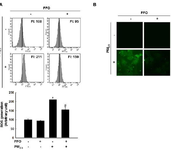 Figure 1. Scavenging effect of FFO on PM 2.5 -induced intracellular ROS. Intracellular ROS 
