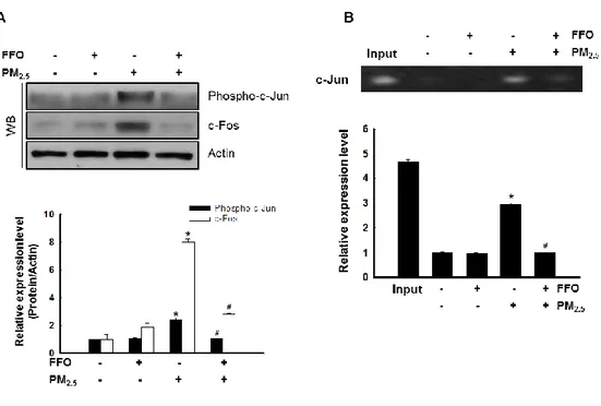 Figure  5.  Effect  of  FFO  on  PM 2.5 -induced  transcription  factor  activator  protein  1  (AP-1) 