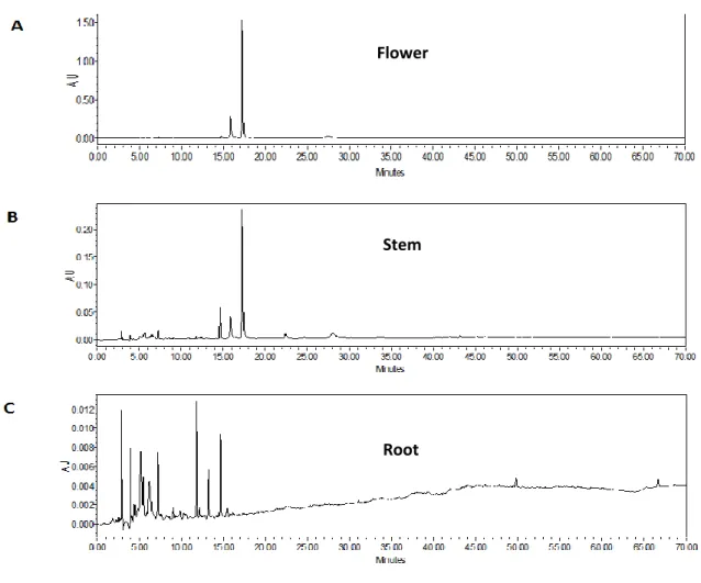 Figure 15.  Chromatograms od analytical HPLC analysis of crude Narcissus tazetta var.  Chinensis extracts (NE)