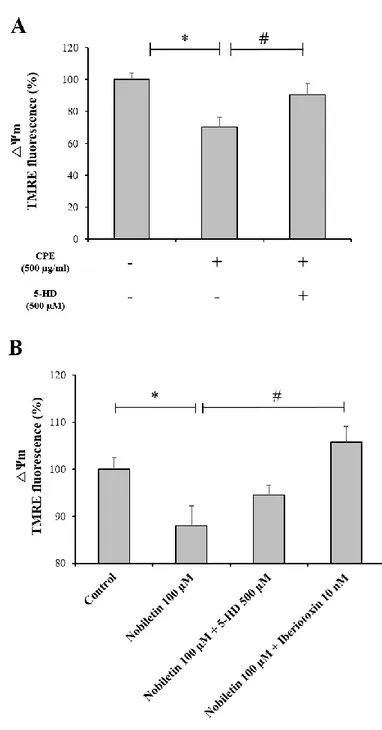 Figure 11. The effects of mitochondrial K +  channel inhibitors on nobiletin- induced ΔΨ m