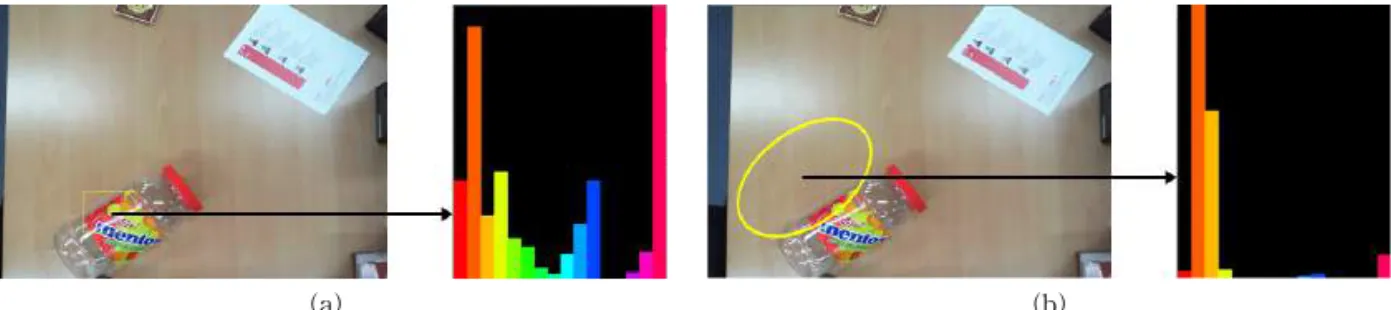 Fig. 4. Result about CAMshift and its color histogram (a) query ROI and (b) conventional CAMShift.