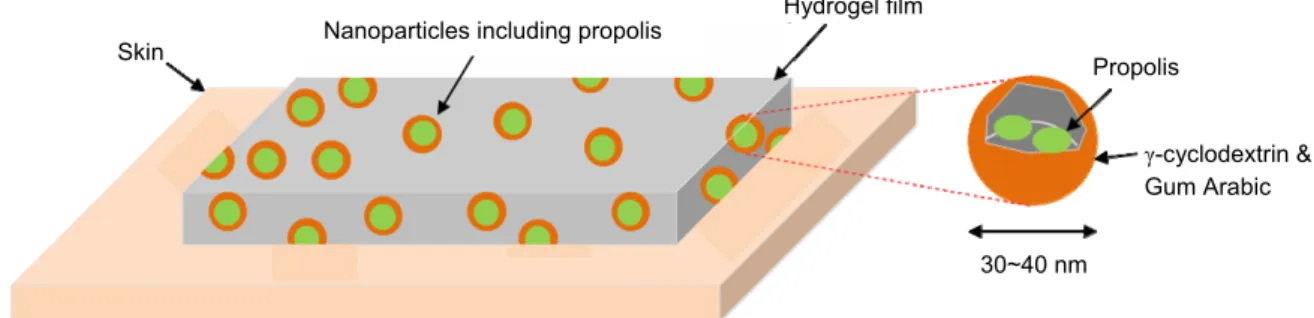 Fig. 1. Schematic diagram showing the design of the hydrogel film containing propolis nanoparticles