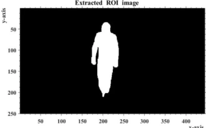 Fig. 6. Extracted ROI gray level image.
