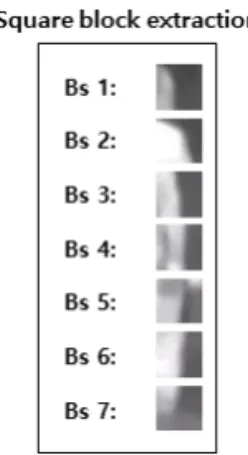 Fig. 9. A vector generated by mosaic.