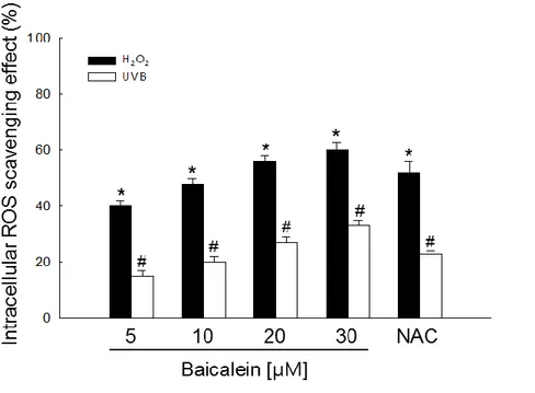 Figure  2.  Baicalein  reduces  ROS  generation.  (A)  HaCaT  cell  viability  was  investigated  using  the  MTT  assay  to  determine  the  cytotoxic  effects  of  baicalein