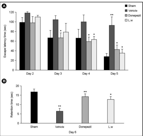 Fig. 4. Effect of  LW on the ischemia-induced cognitive deficits in the Morris water maze