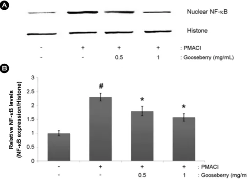 Fig. 5. Effect of  gooseberry on the NF-κB activation of  PMACI-stimulated HMC-1 cells
