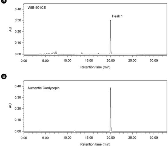 Fig. 2. HPLC chromatograms of  WIB-801CE and authentic cordycepin. (A) The chromatogram of  WIB-801CE
