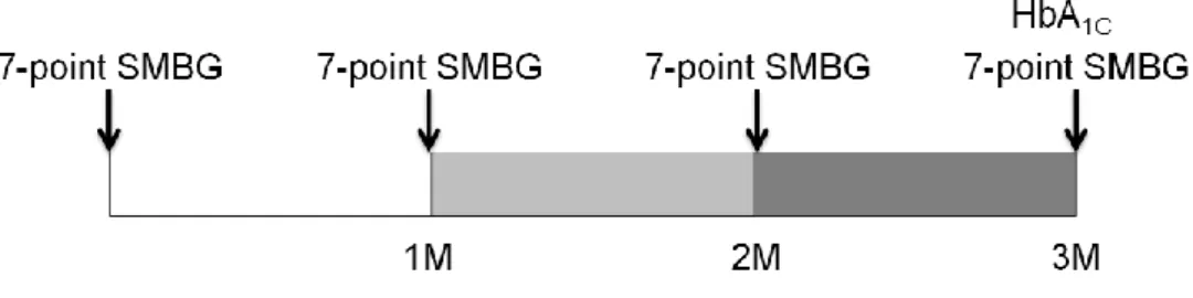 Figure 2. Measurement of seven-point self-monitoring of blood glucose (SMBG) and HbA 1C.