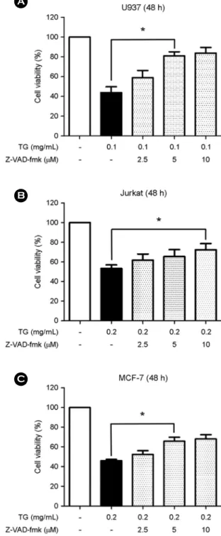 Fig. 4. TG reduces cell viability via apoptotic caspase pathway.