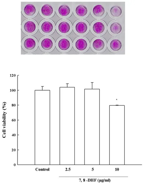 Figure 3 (continued): (B) The  effect of glucose treatment was visualized by MTT assay