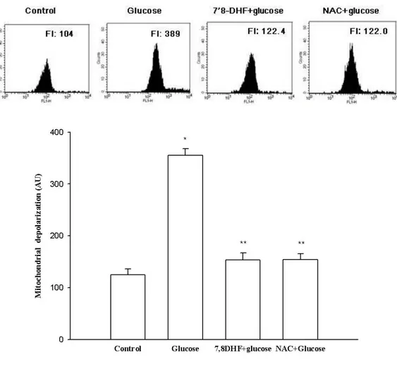 Figure 7: Effects of 7, 8-DHF on glucose-induced mitochondrial membrane potential depolarization    Δψm depolarization was analyzed by (A) flow cytometry