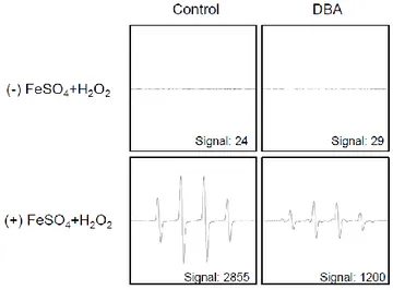 Figure 1D. DBA scavenges free radicals. The Fenton reaction system (H 2 O 2 +FeSO 4 ) was 
