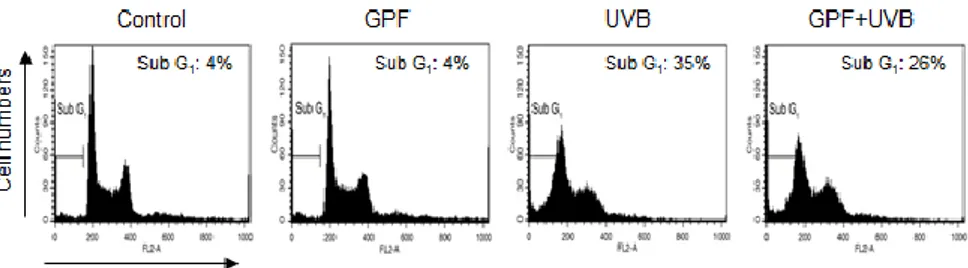 Figure 4C.  Cells  were  incubatede  for  additional  24  h,  after  the  treatment  of  GPF  (20 