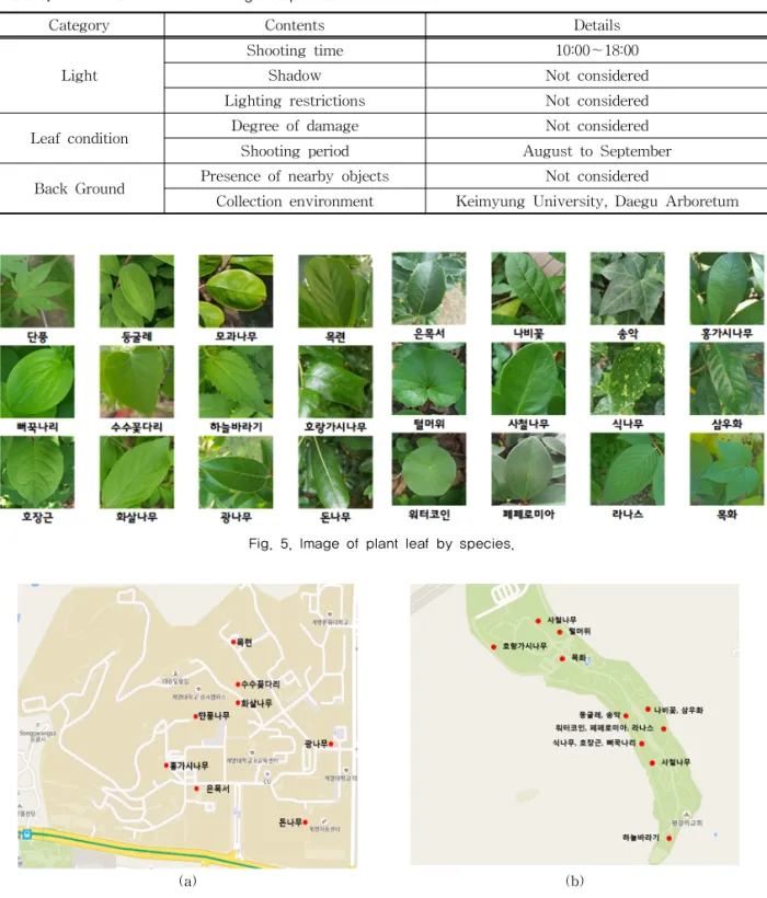 Fig. 5. Image of plant leaf by species.