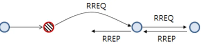 Fig. 5. The problem of RREQ-RREP exchange for long  distance.