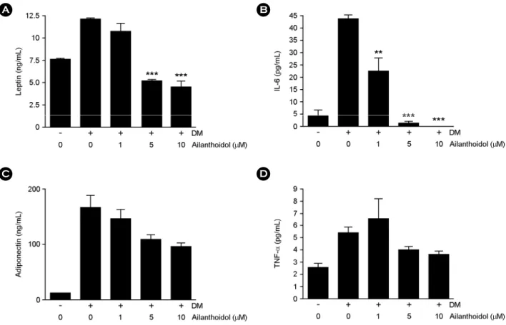 Fig. 4. Effects of ailanthoidol on adipokine release in 3T3-L1 adipocytes. 3T3-L1 adipocytes were treated with indicated concentration of ailanthoidol in differentiation medium from days 0 to 8 of  adipogenesis