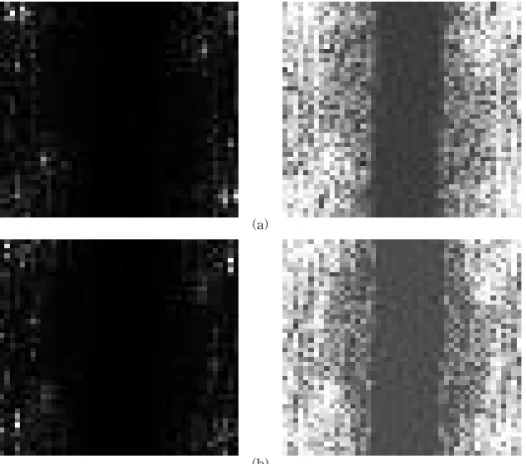 Fig. 6. Histogram of the contrast enhanced feature images: (a) the normal data and (b) the abnormal data.