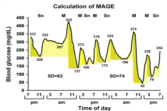 Figure 4. Continuous blood glucose analysis for 48 hours in a patient with type 1 diabetes