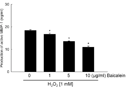 Figure 2. Effects of baicalein in a dose dependent manner on H 2 O 2 -induced MMP-1 activity