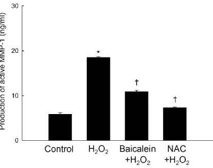 Figure 5. Effects of baicalein and NAC on H 2 O 2 -induced MMP-1 activity. Cells were treated 