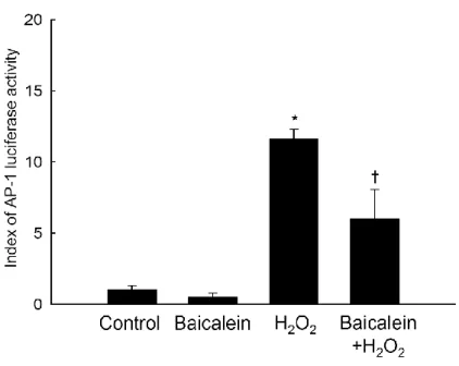 Figure  7.  Effects  of  baicalein  on  H 2 O 2 -induced  activity  of  AP-1transcription  factor