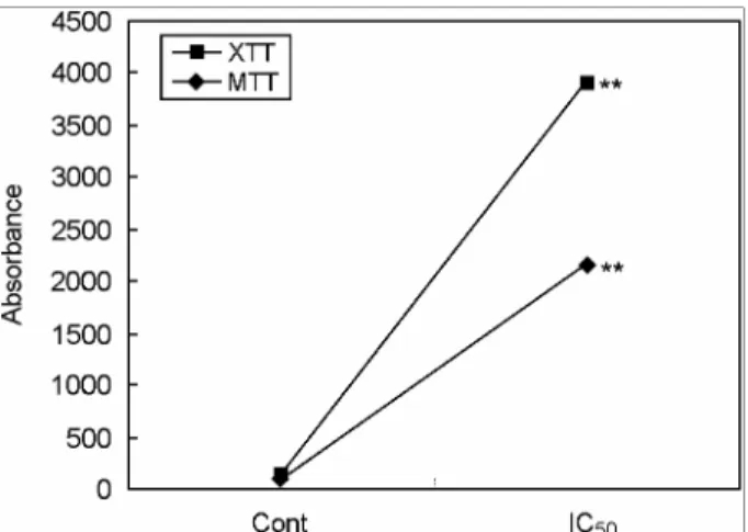 Fig. 3. Cell viability and cell adhesion activity of IC 50 were  measured by MTT and XTT assays in normal human gingival  fibroblasts after cells were treated with ferulic acid for 48 hours,  respectively