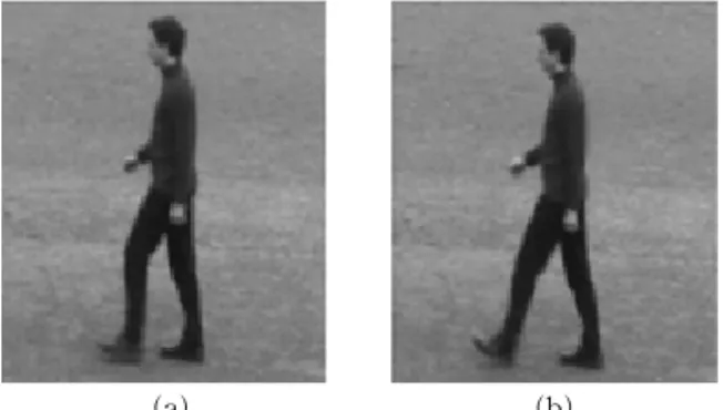 Fig. 2 is in the MATLAB simulation gives the HOG features of video capture image, is a gray scale image gradient.