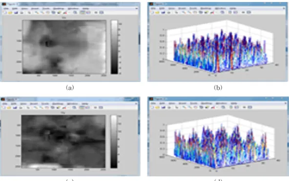 Fig. 4. MBH features.
