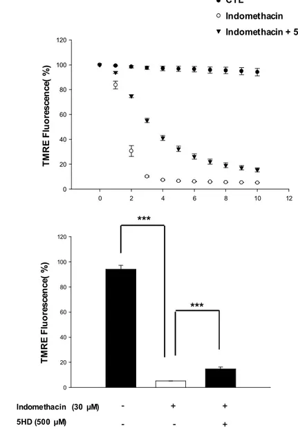 Fig.  12.  Inhibitory  effect  of  5HD  on  indomethacin-induced  mitochondrial  depolarization