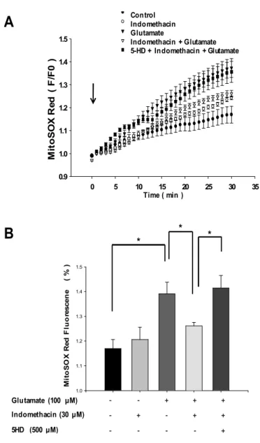 Fig.  13.  Effects  of  indomethacin  and  5HD  on  glutamate-induced  mitochondrial  superoxide generation