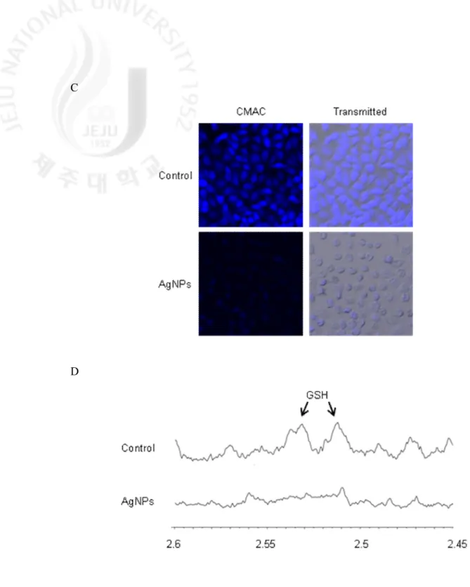 Fig.  3.  continued.  Levels  of  GSH  were  detected  using  (C)  confocal  microscopy  after 