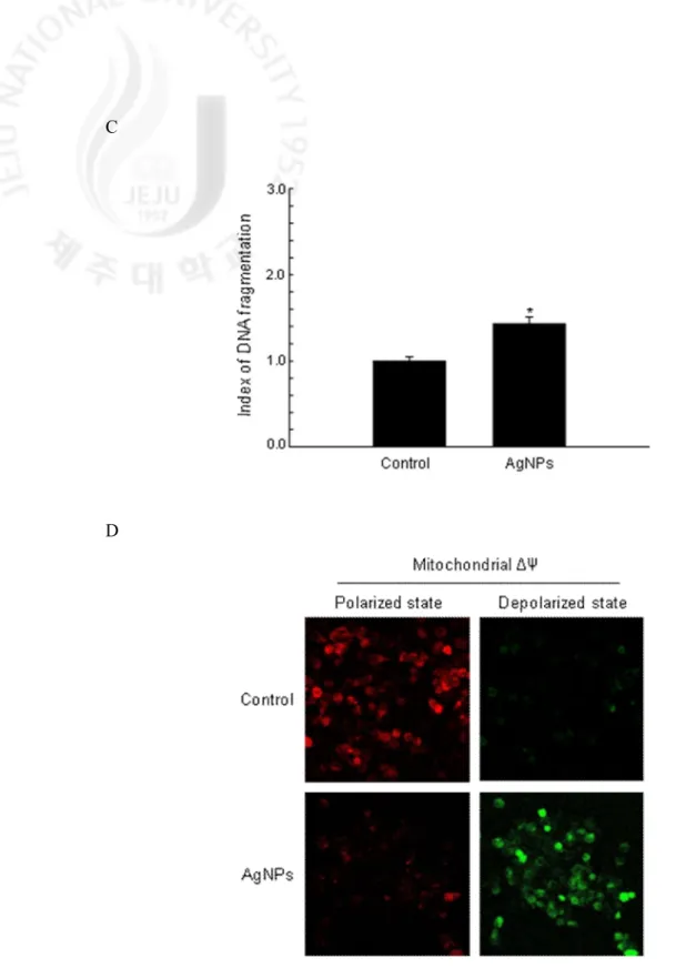 Fig. 5. continued. (C) DNA fragmentation was quantified using an ELISA kit. The values are 