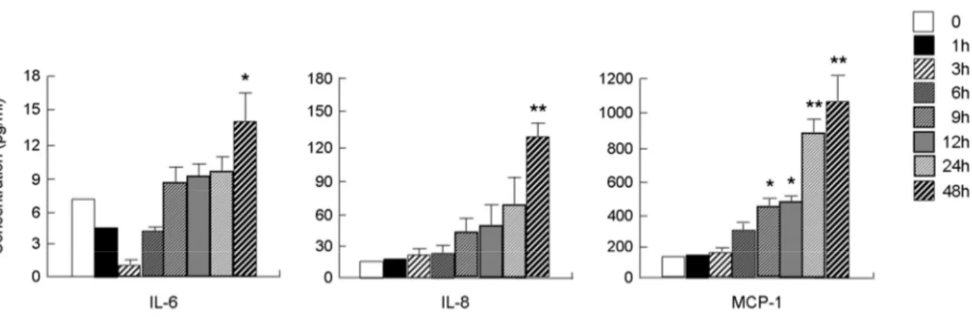 Fig. 4. Derp 2 induces the secretion of IL-6, IL-8 and MCP-1 in a time-dependent manner in normal and allergic lymphocytes