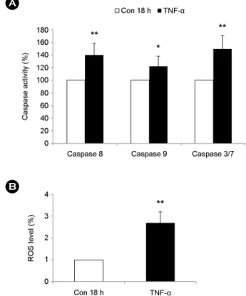 Fig. 2. The differential effect of TNF-α on the apoptosis of  human granulocytes and human myeloid leukemia cell line in  a time-dependent manner