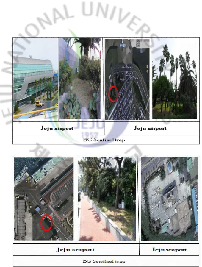 Figure 4.  제주도  제주시  모기  채집  지점.   