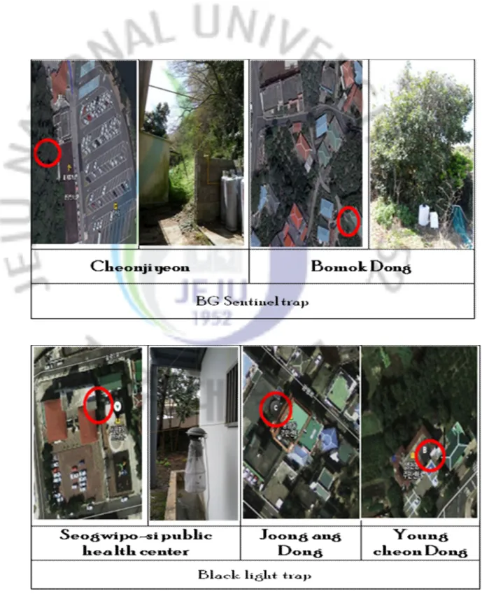 Figure 5.  제주도  서귀포시  모기  채집  지점.   