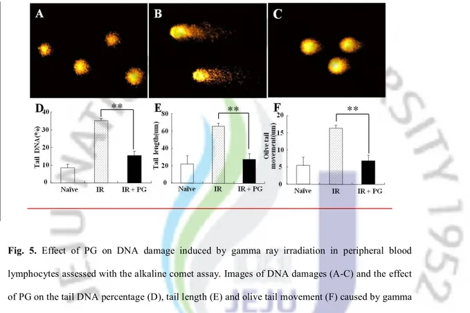 Fig.  5.  Effect  of  PG  on  DNA  damage  induced  by  gamma  ray  irradiation  in  peripheral  blood  lymphocytes assessed with the alkaline comet assay