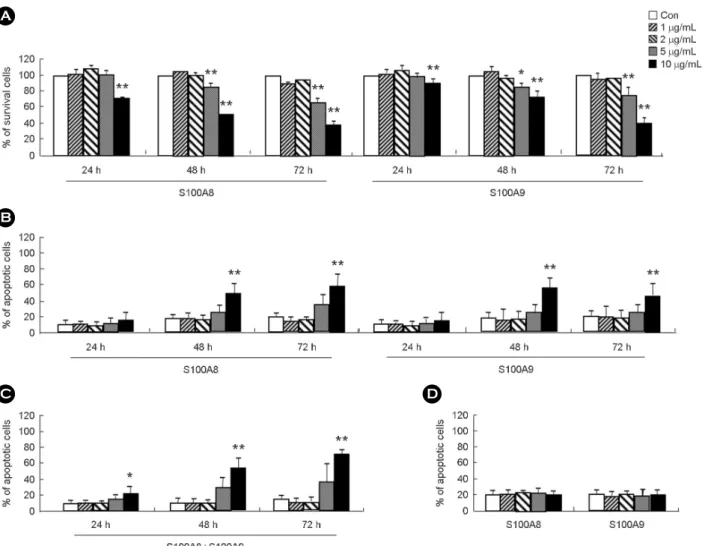 Fig. 2. Pro-apoptotic  effects  of S100A8 and S100A9 in THP-1 cells  and  monocytes.  THP-1  cells  (A-C)  and  monocytes  (D)  were  incubated for the indicated time in the absence (Con) and presence of  S100A8 or/and S100A9 at the indicated concentration