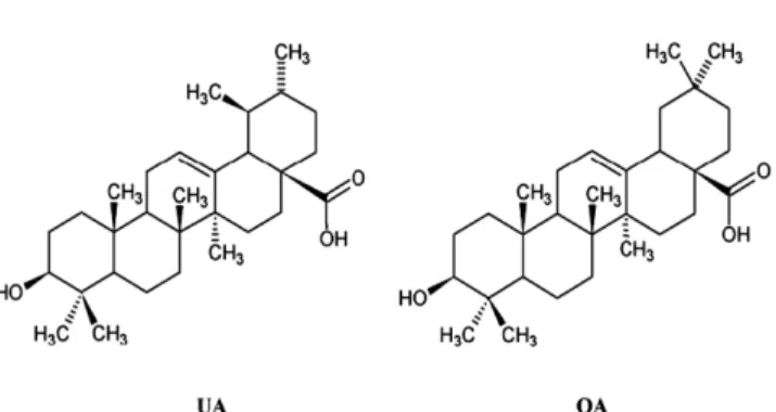Fig. 3.  Semi-plane chemical structure of ursolic acid(UA) and oleanolic acid(OA)