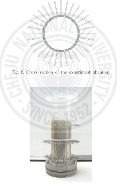 Fig. 6. Cross section of the experiment phantom.