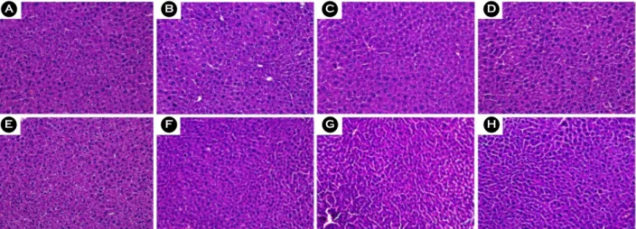 Fig. 4. Kidney tissue stained hematoxylin and eosin (H &amp; E, 400×) showing the effect of  S