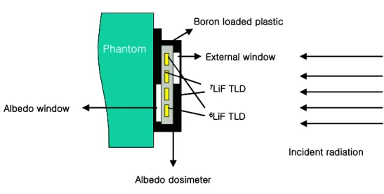 Fig. 3. Schematic drawing of an albedo neutron dosemeter consisting of a boron  