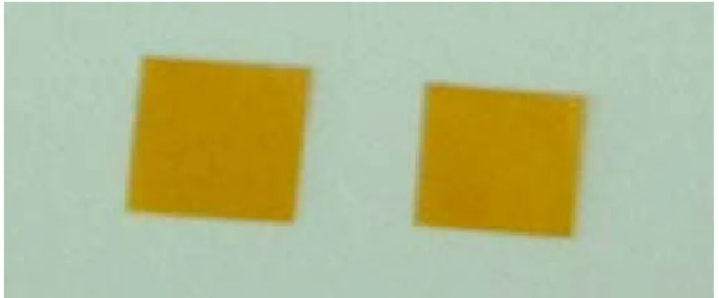 Fig. 8. Thin CaSO 4 :Dy TL dosimeter using Kapton Film