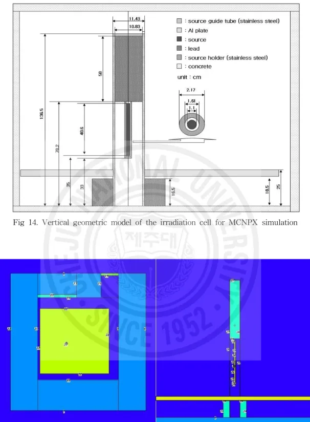 Fig 14. Vertical geometric model of the irradiation cell for MCNPX simulation .