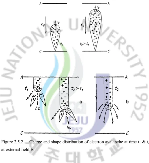 Figure 2.5.2   Charge and shape distribution of electron avalanche at time t 1  &amp; t 2