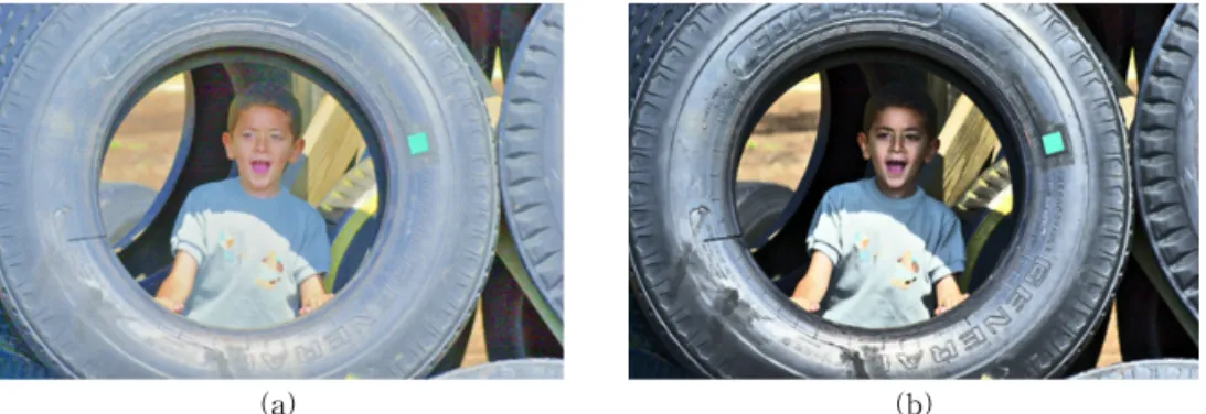 Fig. 5. Contrast enhancement result. (a) Saturation correction without histogram equalization, (b) Saturation correction  with histogram equalization.
