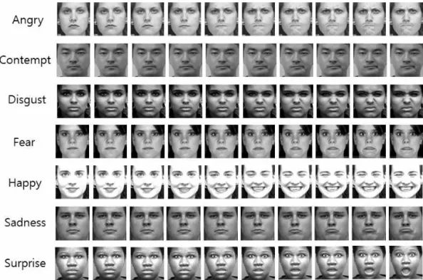 Fig. 5. Examples of face sequences, each corresponding to one of the seven emotion classes, used in our experimentations