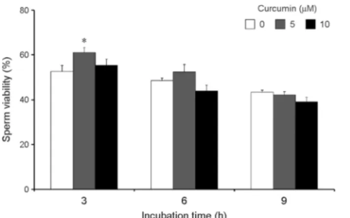 Fig. 4. Effect of  curcumin on boar sperm plasma membrane in- in-tegrity during liquid storage
